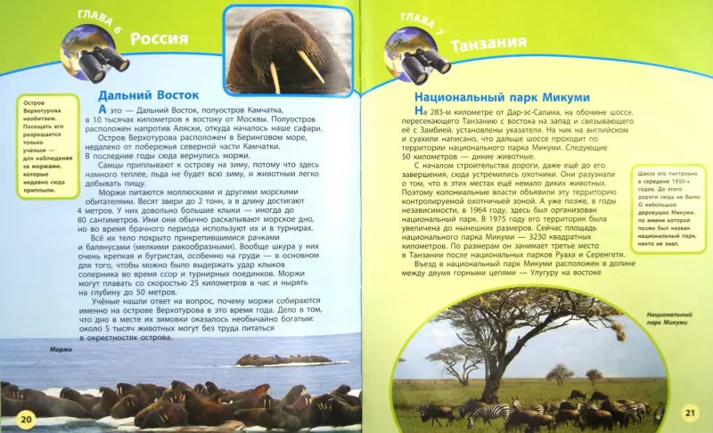 Всемирное сафари: Дроздов, Макеев
