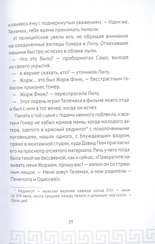 Уценка. Плишота Анн: Гомер Пим и секрет Одиссея