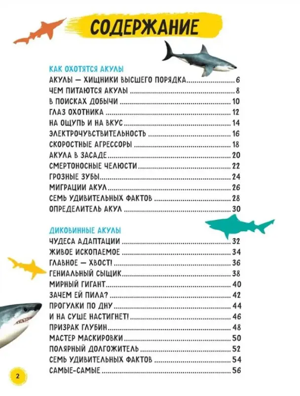 Уценка. Мэйсон Пол: Акулы. Иллюстрированная энциклопедия