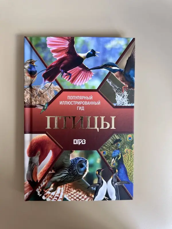 Спектор Анна Артуровна, Папуниди Елена Алексеевна: Птицы. Иллюстрированный гид