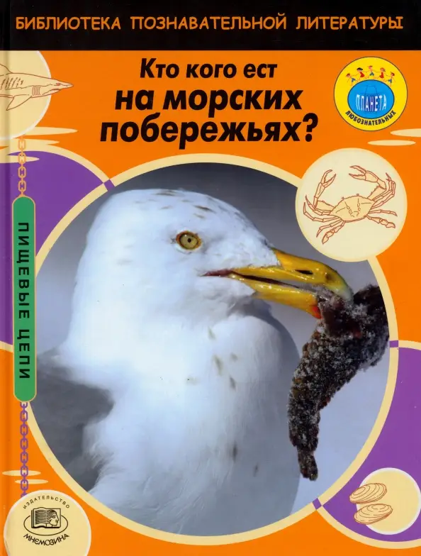 Кто кого ест на морских побережьях?: Мойра Баттерфилд