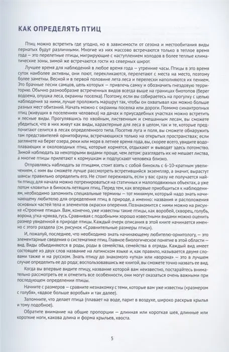 Уценка. Владимир Храбрый: Птицы Европейской части России. Фотоопределитель