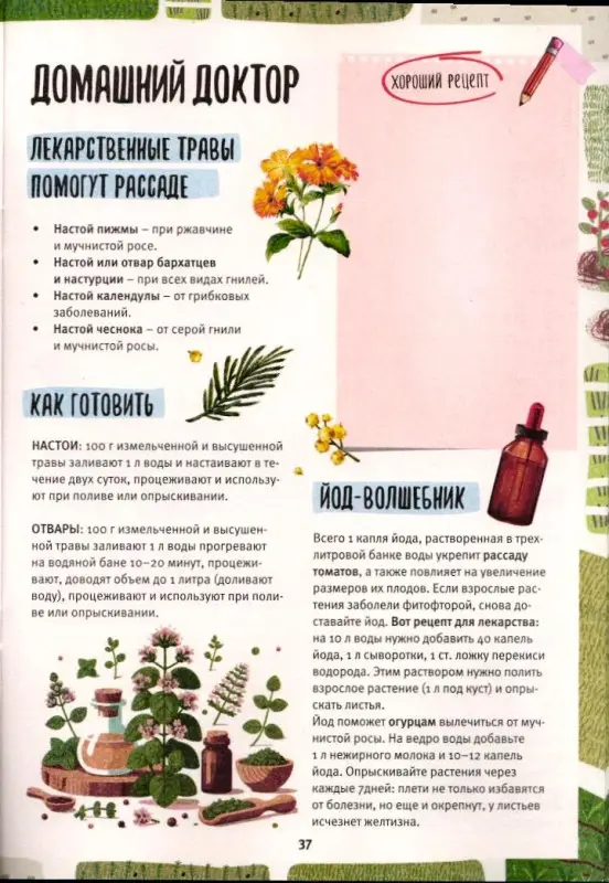 На Бис спец Рассада Дневник огородника