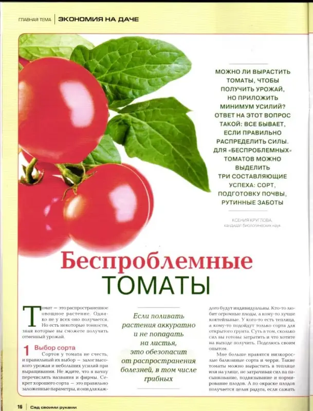 Журнал САД СВОИМИ РУКАМИ №08/2019