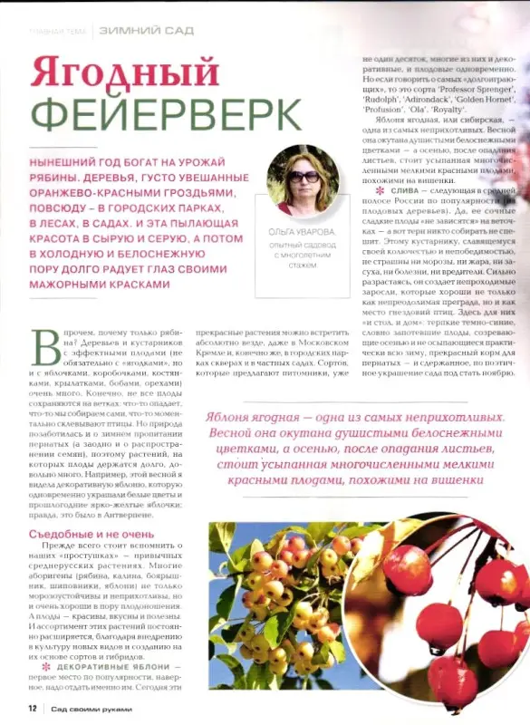 Журнал САД СВОИМИ РУКАМИ №12/2019