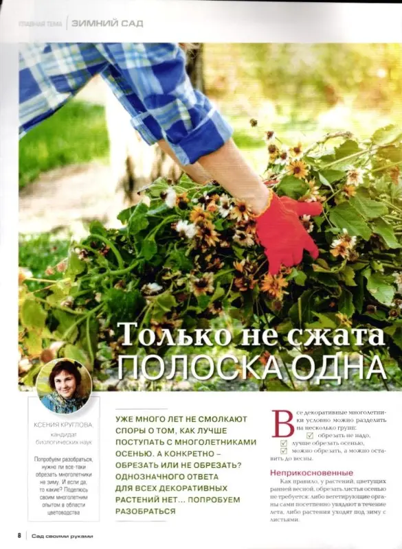 Журнал САД СВОИМИ РУКАМИ №12/2019